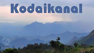 Bangalore to Kodaikanal Trip | Dolphin's Nose, Moir Point, Pillar rocks, Devil's Kitchen, Kodai lake