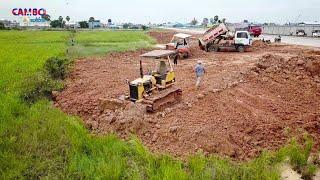 Great Action Machinery Working! Mini dump truck processing with mini dozer spreading soil filling up