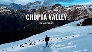 Chopta Valley in Winters | Tungnath & Chandrashila Trek | Uttarakhand | Snowfall | Amazing Visuals.