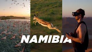 Africa & Wildlife | Cinematic FPV