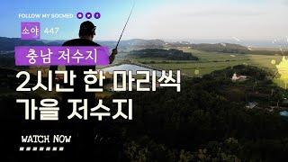 2시간에 한 마리씩, 충남에서의 가을 낚시