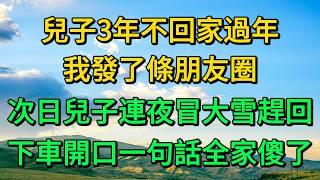 兒子3年不回家過年，我發了條朋友圈，次日兒子連夜冒大雪趕回，下車開口一句話全家傻了 | 柳梦微语