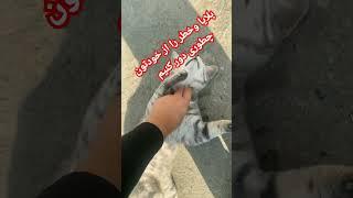 چطوری از بلایا وخطر دور باشیم #پادکست#مشاهير  #رویایی #کلیپ #پیشرفت