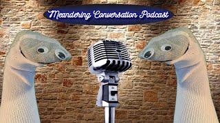 Meandering Conversations Podcast Ep. 32: Movies Genres and Realistic Superpowers