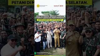 Mentan Amran: Brigade Pangan Terbukti  Gerakan Perekonomian Petani di Merauke, Papua Selatan