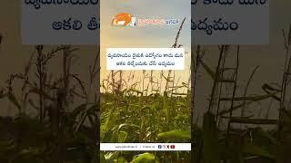 JHK Farmer Quote | Motivational quotes Telugu II Inspirational Quotes II Telugu Quotes |@JaiHoKisan