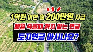 (꿀팁) 은퇴 후 1억으로 매월 200만원 받는 토지연금 경매를 활용한 농지연금 투자법 활용방법 공개