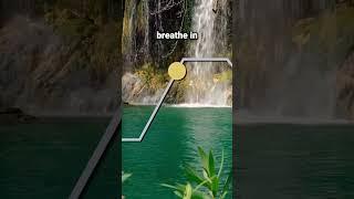 Parasympathetic Breathing to Relax (4-4-6-2)