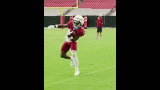 Arizona Cardinals Greg Dortch Training Camp Toe Tap catch!