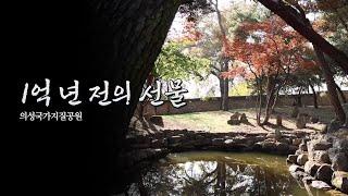 2023.12.16(토) 1억년 전의 선물, 의성국가지질공원 / 안동MBC