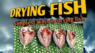 Drying Fish Process: Simplest way!