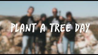 Plant A Tree Day | PaliRoots