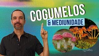 Cogumelos & Mediunidade