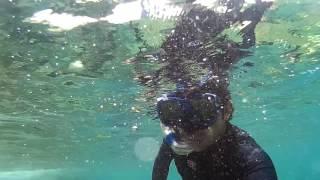 Snorkeling Pigeon Island National Park (Nilaveli, Sri Lanka)