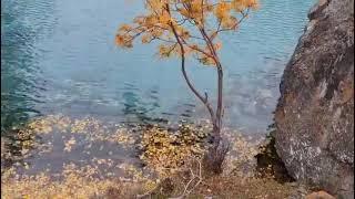 Feroza Lake Naltar Valley