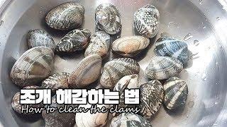 조개 해감하는 법│How to clean the clams│찡몬 ZZINGMON