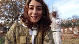 Winterizing Our Honey Bees on The Honeystead!