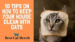 10 Tips on How to Keep Your House Clean with Cats