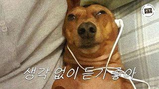 playlist. 아무런 생각없이 멍하니 듣기 좋은 플리