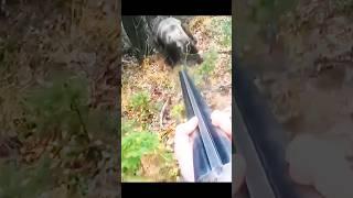 Close Call! Wild Bear’s Crazy Attack on Me#BearAttack#WildBear#CloseCall#охота #wildboar