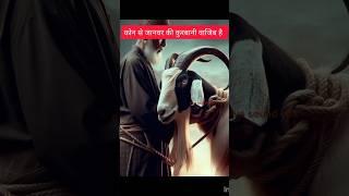 कोन से जनवर की कुर्बानी वजीब है  #ytshorts #shorts #treandingshort #treandingshort