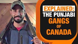 Vancouver Cop Explains | What Explains The Rise of Punjabi Gangs In Canada | News9