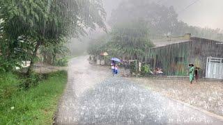 HEAVY Rain and Thunderstorms in the Beauty Village Red soil | ASMR, 99% Wind Rain to Cure Insomnia