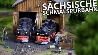 Modellbahn: Sächsische Schmalspurbahn mit Rollwagenverkehr