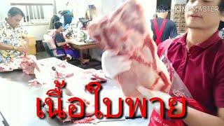 มารู้จักเนื้อใบพายกันครับ