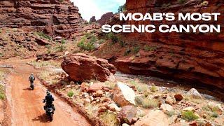 Riding the Most Scenic Dirt Road in the Moab Desert