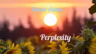 David Adam - Perplexity