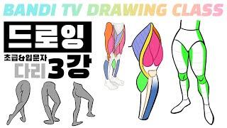 반디쌤과 함께하는 인체드로잉 3강 (다리) How To Draw Figures / 사람그리는 법