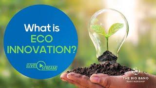 What is eco innovation?