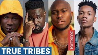 Ghana Popular Celebrities And Their True Tribes | 2020