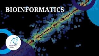 Bioinformatics at the Babraham Institute | Explore our Science Facilities