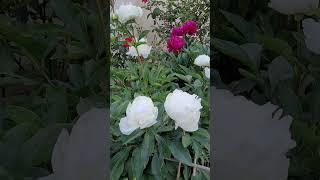 1 May 2024