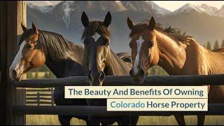 The Benefits of Owning Colorado Horse Property For Sale