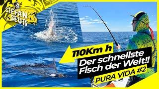 Wir jagen den SCHNELLSTEN FISCH der WELT |  ANGELN auf SAILFISH vor Costa Rica Teil 2