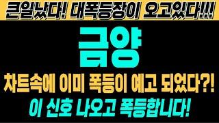 [금양 주가전망][긴급][속보][여의도슈퍼개미 대응전략] 차트속에 이미 폭등이 예고 되었다?! 이 신호 나오고 폭등합니다! 큰일났다! 대폭등장이 오고있다!