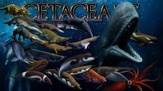 The Evolution of Whales Explained: A 50-Million-Year Odyssey