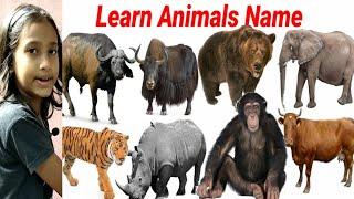 Cute Animals Video Cow, Yak, Rhino, Cat || Learn Animals Name || Animals Video || #cow cow video ||