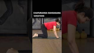 Yoga for Chaturanga Dandasana Variations | Yoga For Beginners #shorts #chaturangadandasana