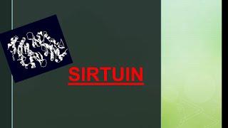 SIRTUIN