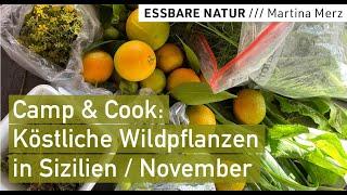 Camp & Cook: Wildkräuter und Früchte am Mittelmeer sammeln & zubereiten, Sizilien-Vanlife November