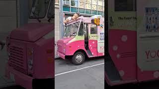 Irst truck or 2nd truck? #nyc #yougurt  #icecream