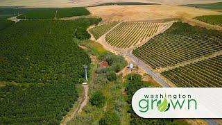 Yakima Valley | Washington Grown | S7E7