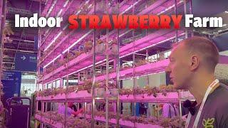 Vertical Farming Technology | Indoor Strawberry Farm