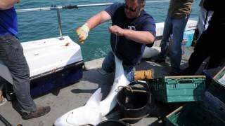 Ep  10 Jason Owen, Fishing Pwllheli