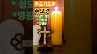 주요기도문_ 주모경 (주님의 기도, 성모송, 영광송) (쇼츠)