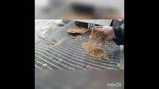 если нет табакорезки